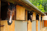 free Goferydd stable construction quotes